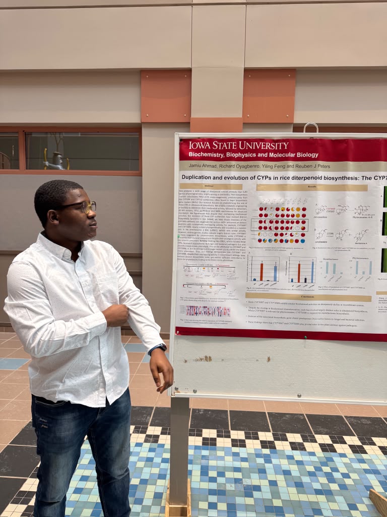 Reviewing Poster Findings — NAPB 2024