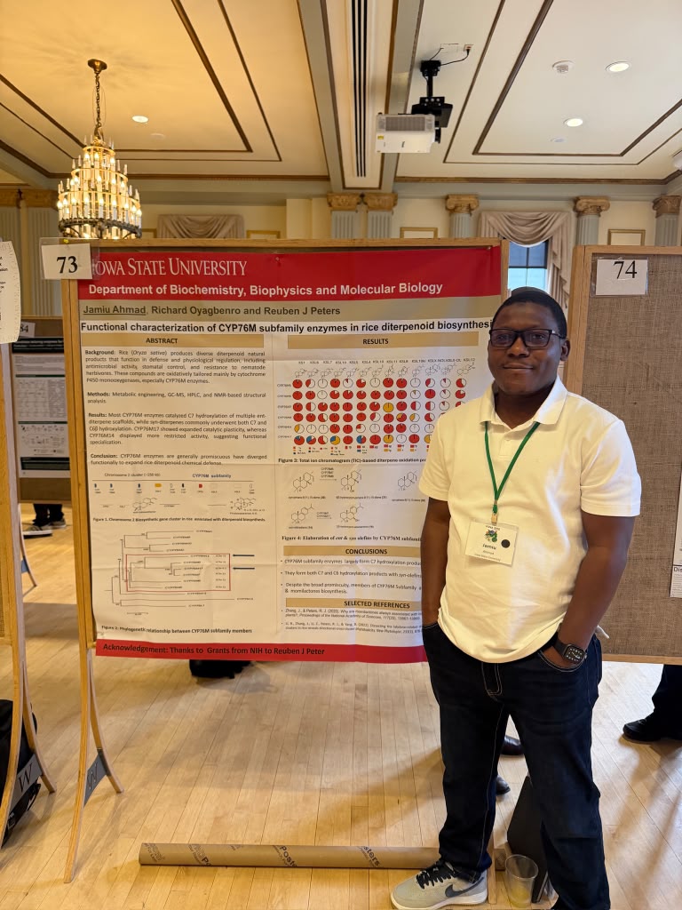 Presenting at NAPB Annual Conference — St. Louis, 2024